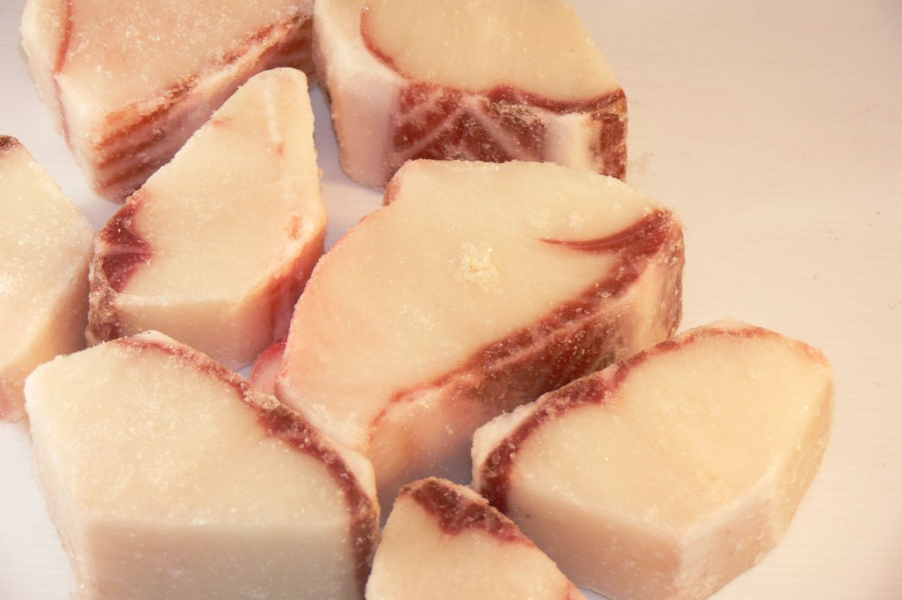 Blue Shark Cube Loins