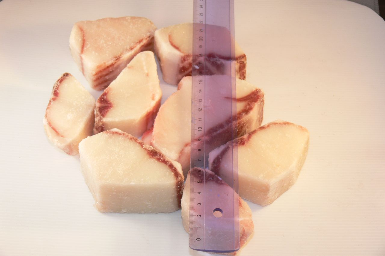Blue Shark Cube Loins