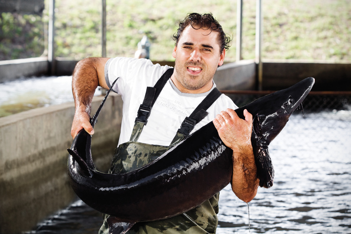 Black River Caviar