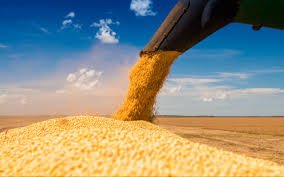 Grain Loading
