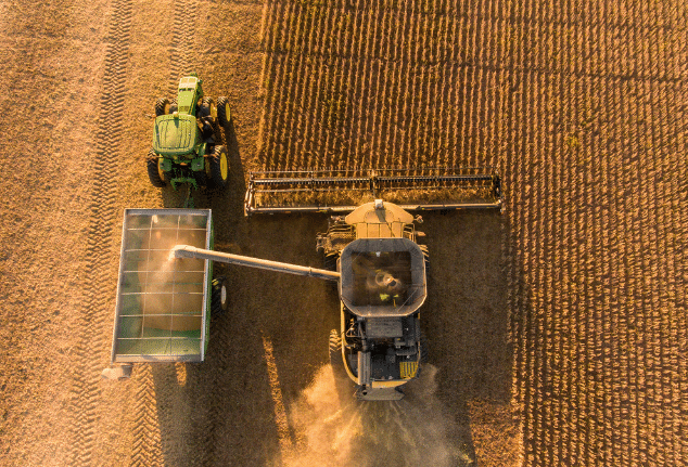 Soybean Harvest
